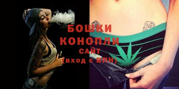 хмурый Белокуриха