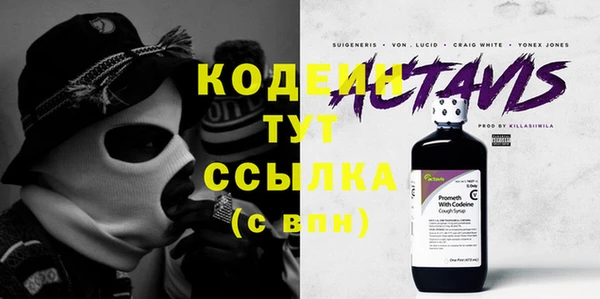 хмурый Белокуриха