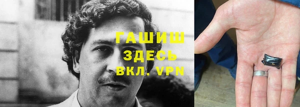 хмурый Белокуриха