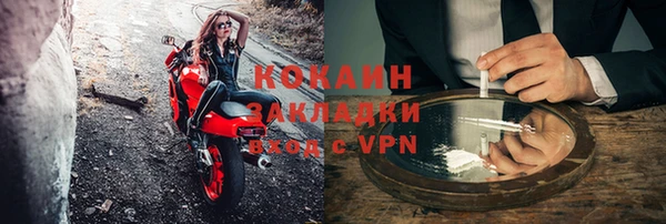 хмурый Белокуриха