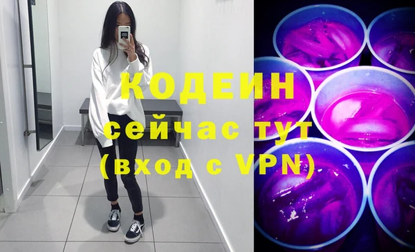 хмурый Белокуриха